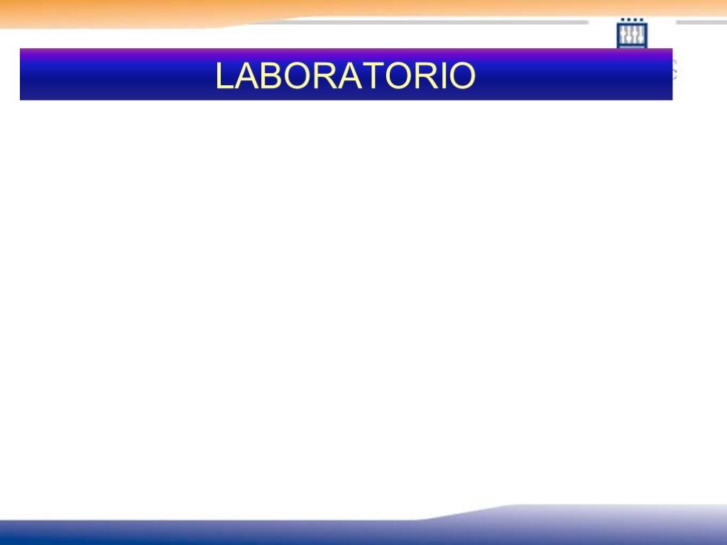 LABORATORIO